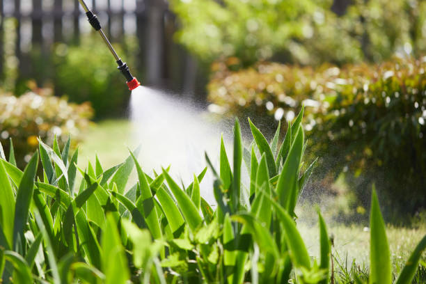 Tamper-Resistant Bait Stations for Rodents in District Heights