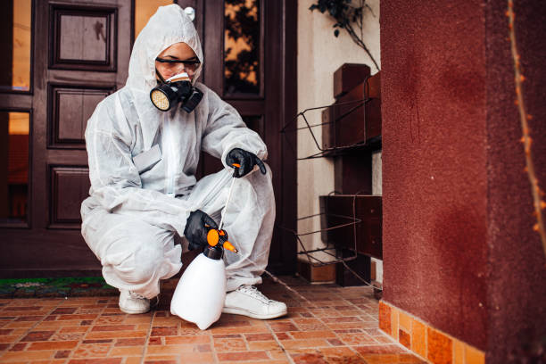 Attic and Crawl Space Rodent Treatment in District Heights